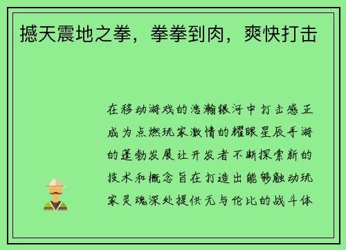 撼天震地之拳，拳拳到肉，爽快打击